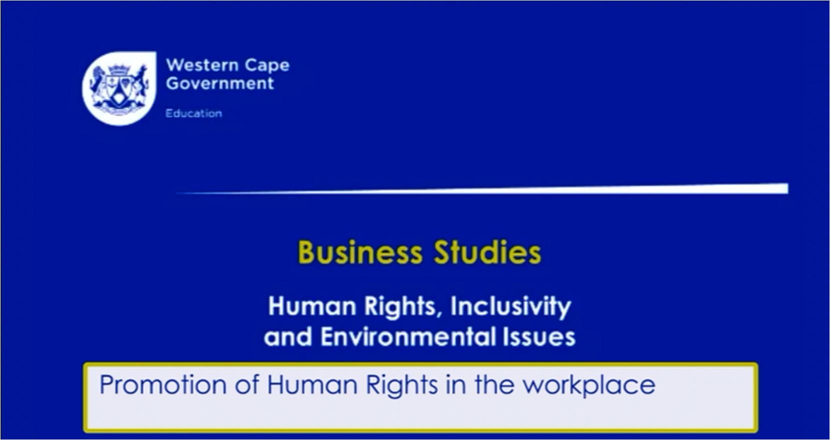 Grade 12 Business Studies – Business Roles: Human Rights; Environmental ...